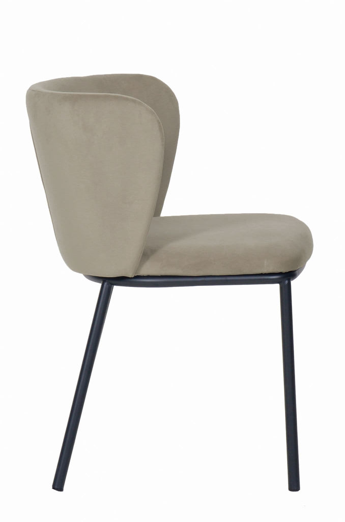 x2 Mandy Velvet Dining Chair - Dendo Design