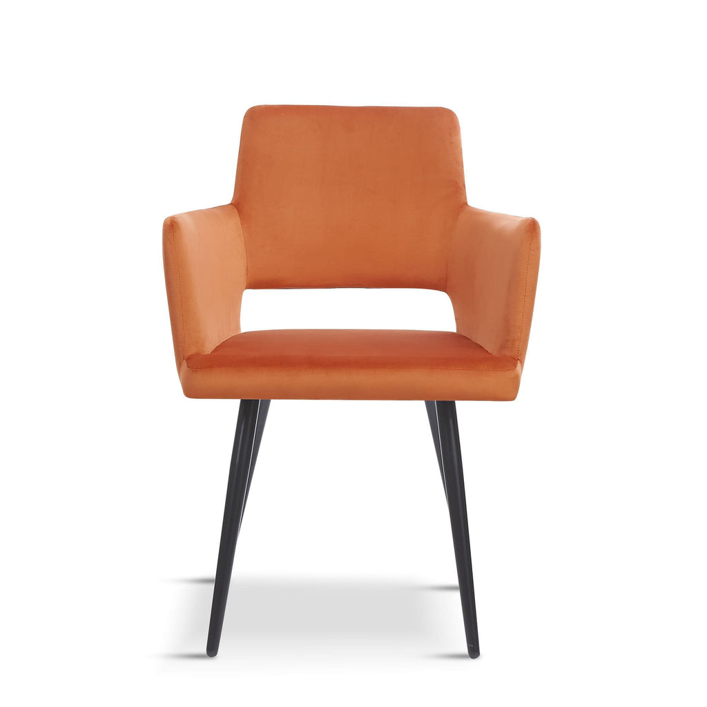 x2 Velvet Harrod Chair - Dendo Design